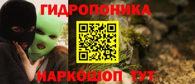 индика Заводоуковск
