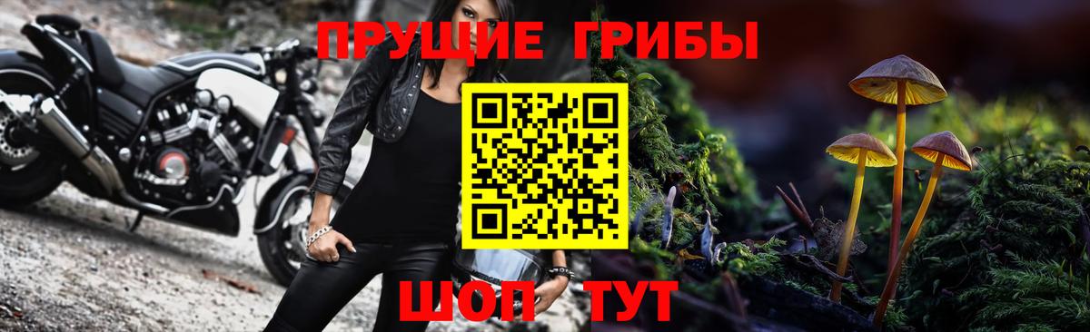 Галлюциногенные грибы Psilocybe  Вход с VPN  Кулебаки  Псилоцибиновые грибы MAGIC MUSHROOMS 